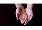 APIS - Bioengineered Wound Product