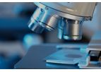 Endodiag - EndoDTect for Early Endometriosis Diagnosis