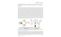 MedGenome - Model OncoPeptTUME - Immunotherapy Drugs - Brochure