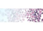 BioFX - Single Cell Sequencing Services
