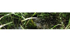 Natural Isotope Solution for Groundwater