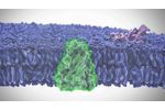METAscreen Research Products Presentation - Video