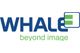 Whale Imaging