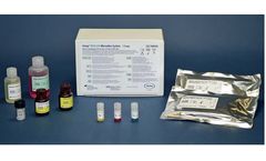 Avioq - Model HTLV-I/II - Microelisa System