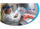 Cell Culture Development Service