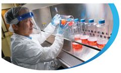 Cell Culture Development Service