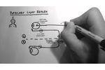 Reflexes 2 - Pupillary Light Reflex - Video