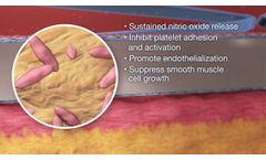 Endomimetics Bionanomatrix - Video