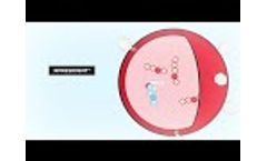 Immatics Therapeutic Approach - Video