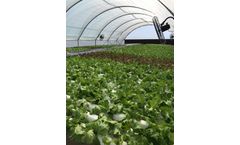 NFT Hydro - NFT Hydro Commercial Hydroponic Projects