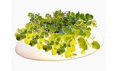 Velda - Floating Pond Light
