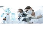 Research and Development Services