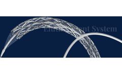 Abluminus - Model NP - Sirolimus Based Nano Carrier Eluting Stent System