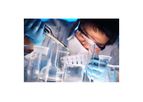 Nanopolymer Drug Delivery Systems