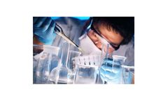 Nanopolymer Drug Delivery Systems