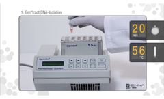 ViennaLab StripAssay Procedure - Video