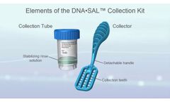 DNA???SAL Instructional - Video