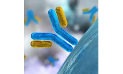 Veravas - Model VeraPrep - Antibody Detection Kit