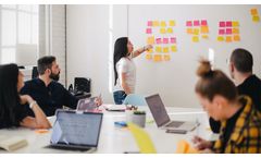 Why should Project Management Software be adopted in todays age?