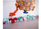 Influenza Home Test