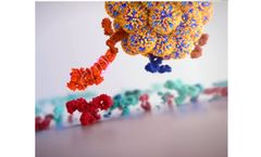 Influenza Home Test