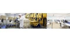 Ergonomic Solutions Services