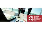 Corporate Reporting & Disclosure Services