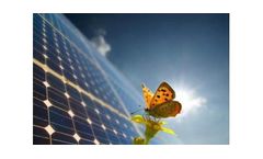 Energy Management Services