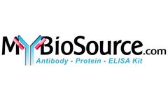 Bovine Accellyte - Model MBS825749 - bta-mir-139, Real-Time RT-PCR, PCR Kit