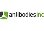 Antibody Purification Services