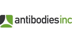 Mouse Monoclonal Antibody Development Services