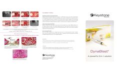 DynaBlast - Demineralized Bone Matrix with Cancellous Bone Brochure