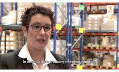 Telic Group - Together the best team. - Video