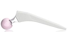 Link - Standard C Hip Prosthesis
