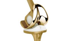 LINK - Model Endo-Model - Knee Replacement System
