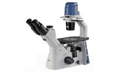 Accu-Scope - Model EXI-310-PH - Trinocular Microscope with Plan Phase Objectives
