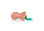 AirwayMan - Model AM-1001 - Airway Management Trainer