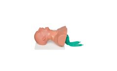 AirwayMan - Model AM-1001 - Airway Management Trainer