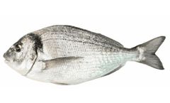 Aller Lucet - Fish Finisher Feed