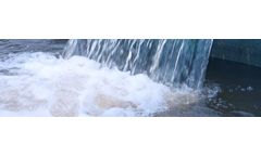 CyRaptor - Proprietary Treatment for De-Halogenation of Plant Waters