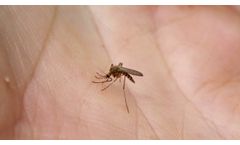 Medel Stick insect bite healer - Video