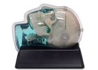 CIRS - Model MR -603-GS - Distortion & Image Fusion Head Phantom