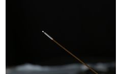 Ureteral Biopsy Brush