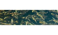 Water monitoring equipment for aquaculture industry