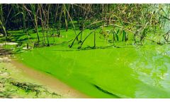 Continuous Algal Bloom Monitoring for Source Waters