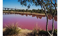 In-Situ - Model Aqua TROLL Multiparameter Sonde - Harmful algal bloom monitoring