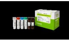 AccuPower - Model SMVR2-2112 - SARS-CoV-2 Variants ID2 Kit (Master Mix)