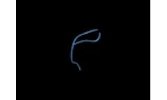 Design of Bifurcation Feature - Video