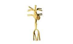TPS - Adult Heart Phantom for Medical Imaging
