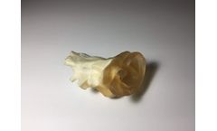 TPS - Adult Ear Phantom for R&D